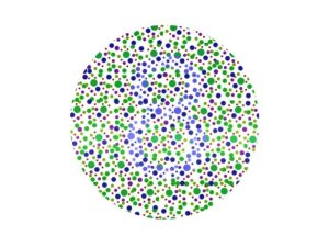 SÜRÜCÜ RAPORUNDA YENİ YÖNETMELİK TEK GÖZÜ GÖRMEYEN ve RENK KÖRLERİ İÇİN