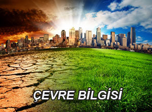 Çevre Bilgisi