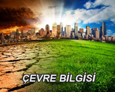 ÇEVRE BİLGİSİ