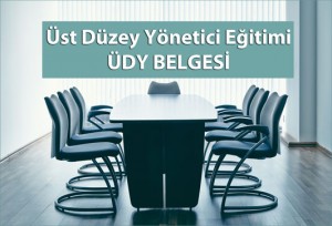 Üst Düzey Yönetici Eğitimi