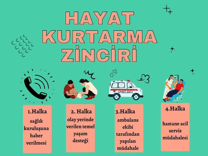 Hayat Kurtarma Zinciri